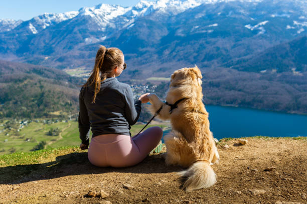 la donna e il suo cane ammirano la vista - lake bohinj foto e immagini stock