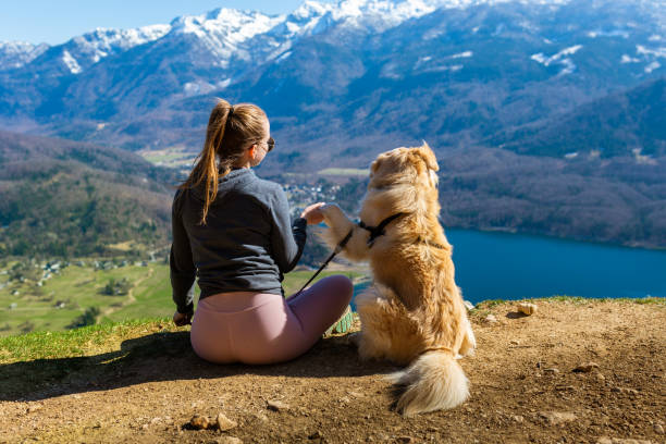 woman and her dog admire the view - lake bohinj imagens e fotografias de stock