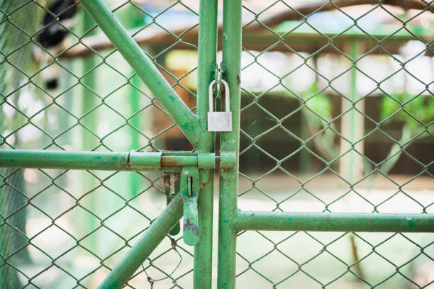 istock rusty metal door with door locked attached 1147088625