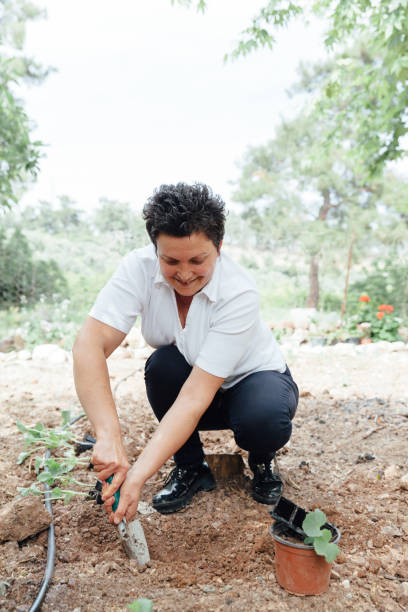 istock Happiness women planting melon seedling in organic garden 1147092995