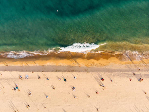 istock Aerial view of Barceloneta beach 1147094792