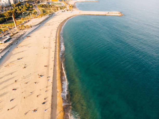 istock Aerial view of Barceloneta beach 1147094895