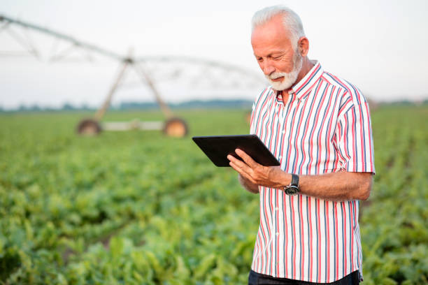 istock Happy and satisfied senior agronomist or farmer using a tablet in soybean field 1147096547
