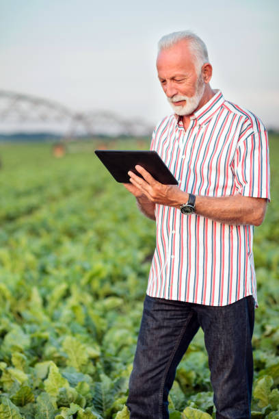 istock Happy and satisfied senior agronomist or farmer using a tablet in soybean field 1147096760