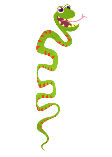 illustrazioni stock, clip art, cartoni animati e icone di tendenza di illustrazione vettoriale del cartone animato serpente verde felice - vector excitement white red