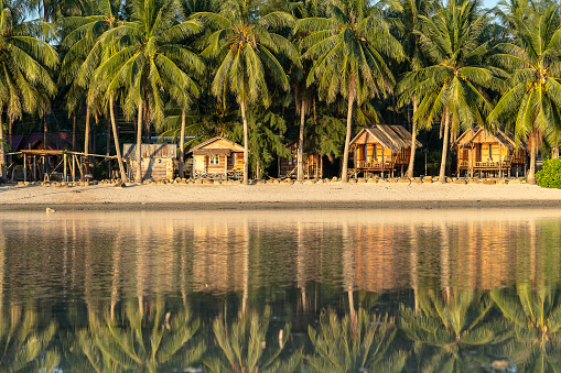 Beautiful bay with coconut palm trees and wooden bungalows which is reflected in seawater. Tropical sand beach, green palm leaf and sea water on the island Koh Phangan, Thailand
