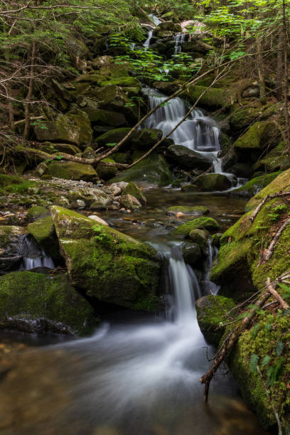 istock Cascades of the White Mountains 1147097672