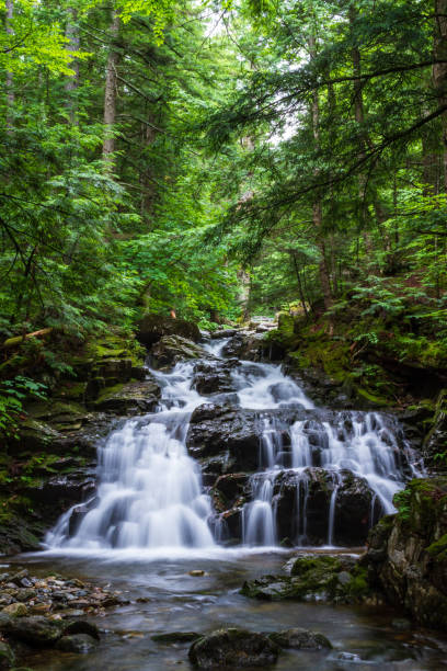 istock Cascades of the White Mountains 1147097675