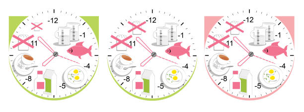 czas zjeść. uważaj na dietę. produkty dietetyczne na tarczy - lunch clock healthy eating plate stock illustrations