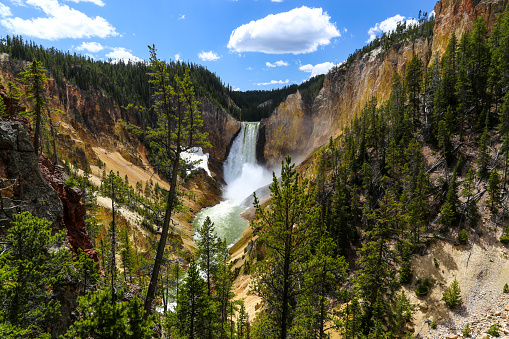 Las caídas inferiores del Yellowstone en verano photo