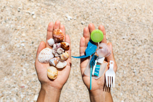 Concept of choice: save nature or continue to use disposable plastic Concept of choice: save nature or continue to use disposable plastic. One hand holding beautiful shells, in the other - plastic waste. Beach sand on background. Environmental pollution problem. disposable stock pictures, royalty-free photos & images