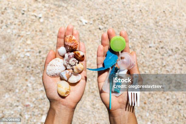 Concept Of Choice Save Nature Or Continue To Use Disposable Plastic Stock Photo - Download Image Now
