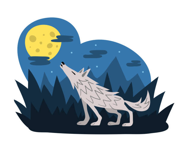 Blue Wolf Howling Cartoon Illustrations, Royalty-Free Vector Graphics &  Clip Art - iStock