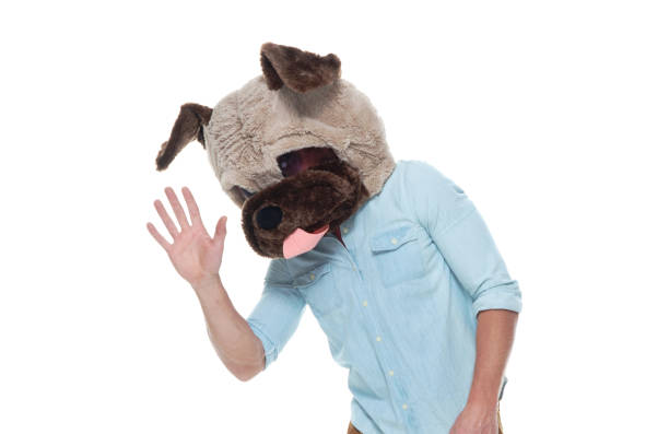 istock Casual well dressed man wearing a dog head costume 1147101065