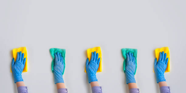 Commercial cleaning company. Employee hands in blue rubber protective glove. General or regular cleanup. stock photo