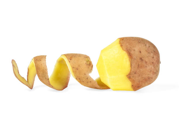 istock Peeled potato isolated on a white background 1147102462