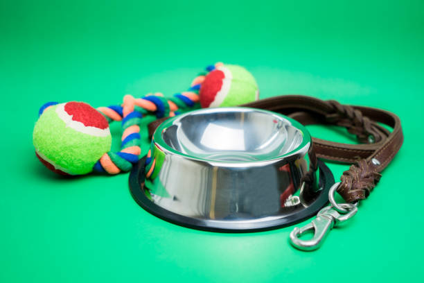 istock Pet bowl stainless with toy on green background 1147102496