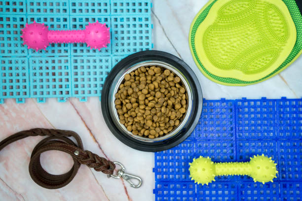 istock Dry food for animal with accessories on marble background 1147102500