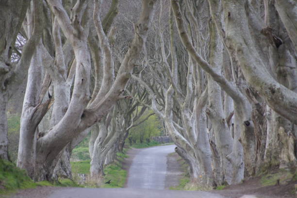 istock Kings Road, Attical, Northern Ireland 1147103379