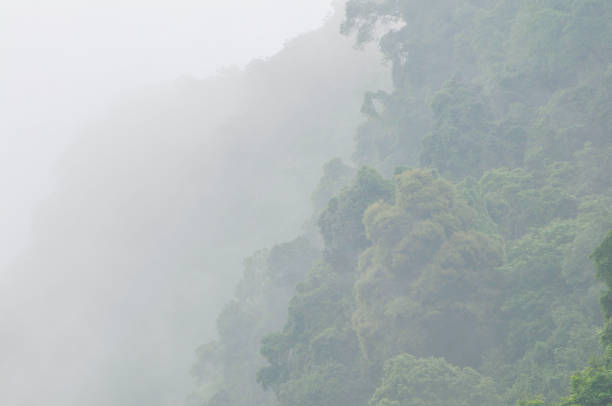 istock Gray clouds over mountain forest in autumn 1147108430