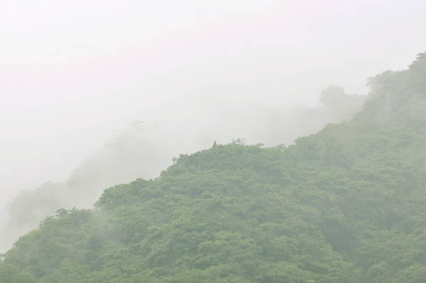 istock Gray clouds over mountain forest in autumn 1147108446