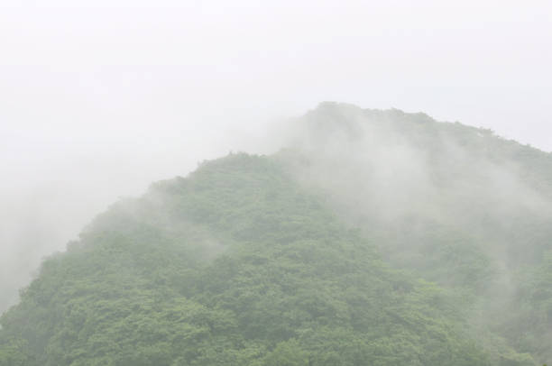 istock Gray clouds over mountain forest in autumn 1147108461