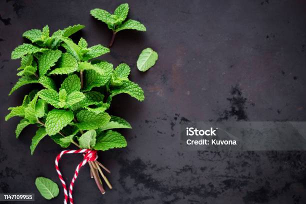 Fresh Mint In A Bunch Stock Photo - Download Image Now - Peppermint, Mint Leaf - Culinary, Backgrounds