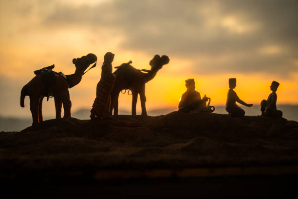 CAMEL DROMEDARY