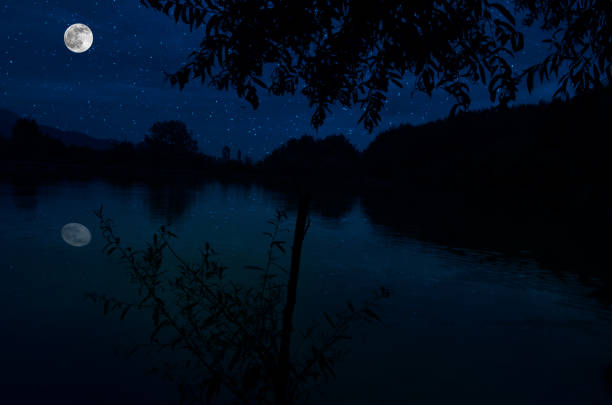 Sukhna Lake at night surrounded by Blue lights and a tree; long exposure photograph of Sukhna Lake, Chandigarh, India