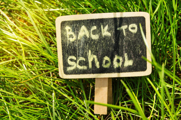istock Written back to school, chalked on a blackboard against a green grass background, bright sunlight 1147113126