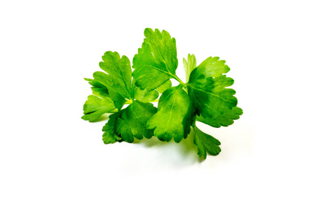 istock parsley isolated on white background 1147114494