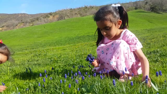 Little sisters picking spring flowers
