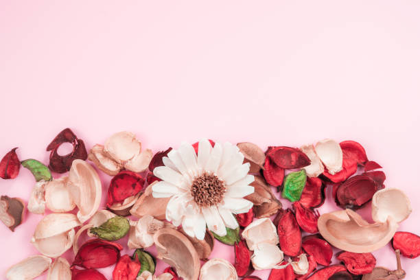 istock aroma therapy and spa object in spring season by minimal flat lay style with dry tropical leaf decorate on pink vintage background 1147120953