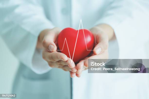 Medical Heart Cardiology Concept Stock Photo - Download Image Now - Cardiovascular Exercise, Doctor, Heart - Internal Organ