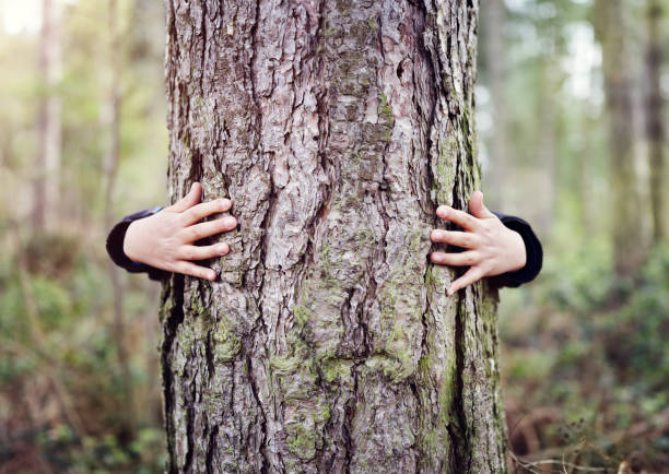 Tree hugging, love nature Tree hugging, little boy giving a tree a hug concept for love nature hugging tree stock pictures, royalty-free photos & images