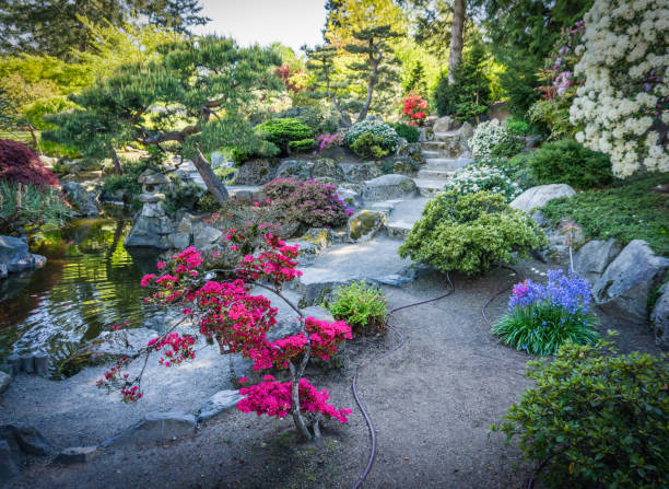 istock Garden Flowers And Stairs 1147124185