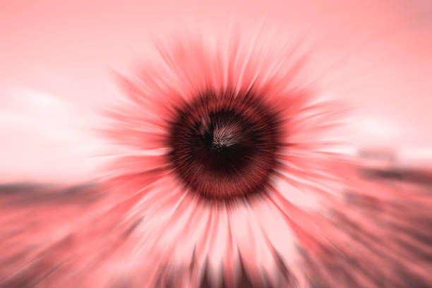 Vintage blurred sunflowers texture and background for designers. Sunflowers blur field background in vintage style. Macro view of sunflower in bloom. Organic and natural flower background. Vintage sunflower.