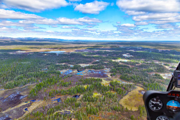 istock Northern landscape. Endless forests and swamp. Dashboard panel in a helicopter cockpit. View from above 1147125535