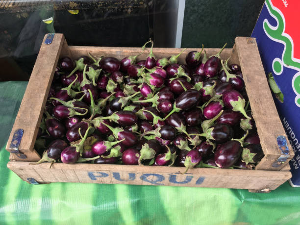 aubergines de chéri dans la caisse en bois - italian eggplant photos et images de collection