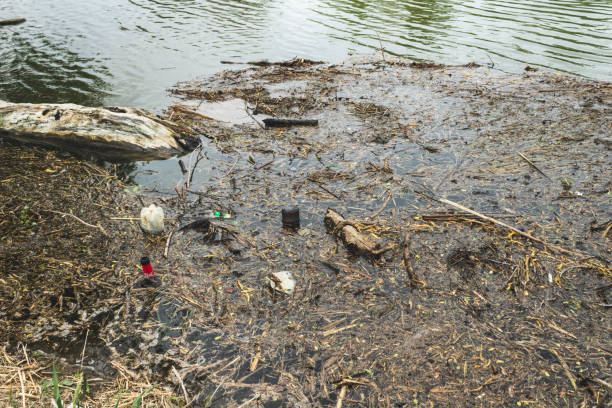istock Environmental pollution. Garbage in nature. Plastic bottles and cellophane bags in the river 1147128142