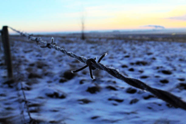the torn rope is knotted on the barbed wire