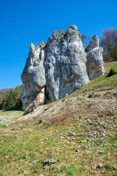istock Bizarre rocks in Dollnstein in the Altmuehltal 1147133219