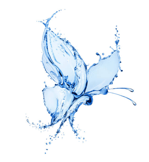 istock Butterfly made of water splashes isolated on a white background 1147137958