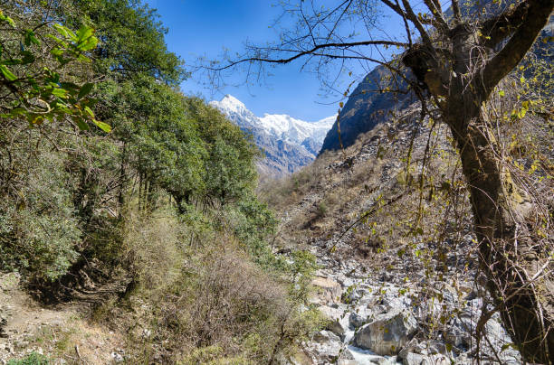 istock Nepal trekking in Langtang valley 1147139227