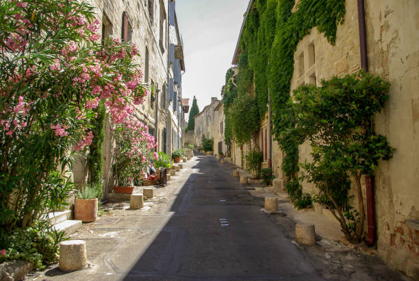sunny alley with flowers in Villeneuve-lès-Avignon, France sunny alley with flowers in Villeneuve-lès-Avignon, France avignon france stock pictures, royalty-free photos & images