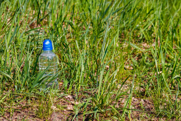 istock Plastic bottle with fresh drinking water in green grass on meadow 1147140705