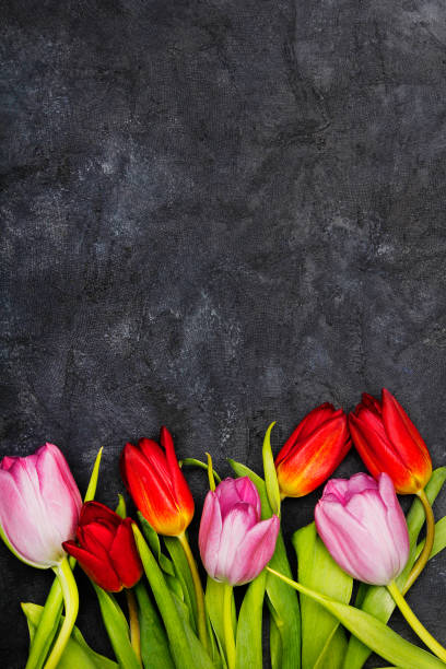 Flor De Tulipanes En Fondo Oscuro Copiar Espacio Un Hermoso Ramo De Flores  De Primavera Foto de stock y más banco de imágenes de Amor - iStock