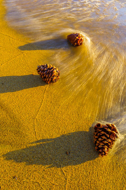 Zephyr beach on Lake Tahoe Nevada