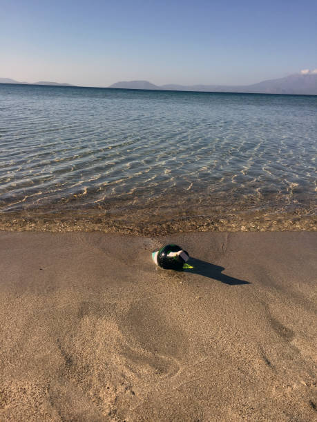 Wine Bottle In Sand