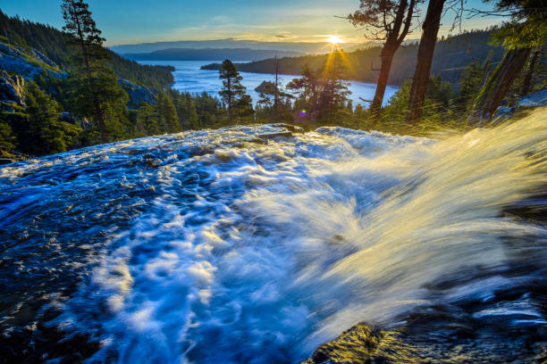 lake tahoe an der grenze zu kalifornien nevada - mystery forest ecosystem natural phenomenon stock-fotos und bilder